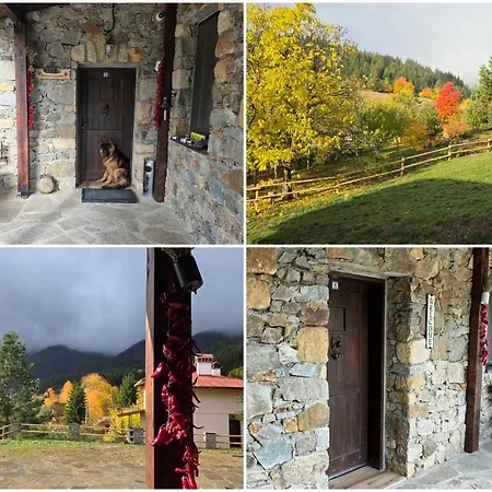 Guest house меча стъпка Gela