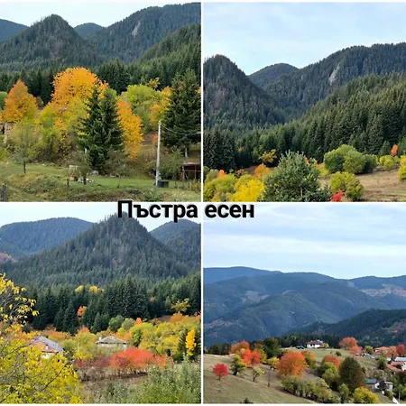 меча стъпка Guest house
