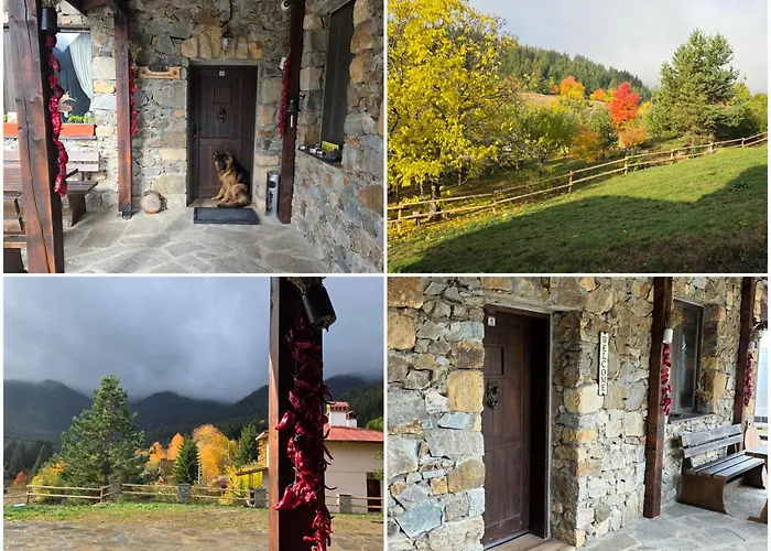 Guest house меча стъпка Gela