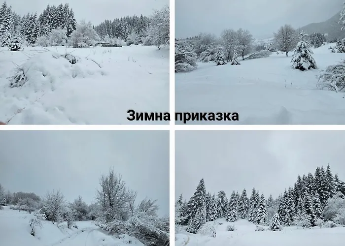 меча стъпка Guest house