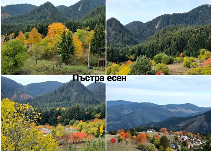 меча стъпка Guest house